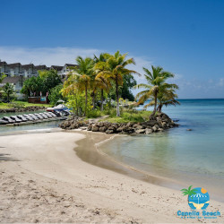 Canella Beach Hôtel • Petit-déjeuner et dîner inclus