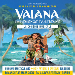 VAIANA - Dimanche 30 Mars, 11h ou 15h - Palais des Sports du Gosier